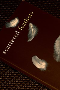 Scatteredfeathers